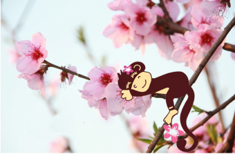 Набор виниловых наклеек "Цветущая ветка сакуры и обезьянка"
